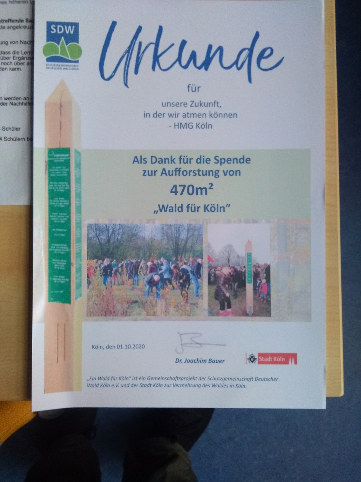 Ein Wald für Köln